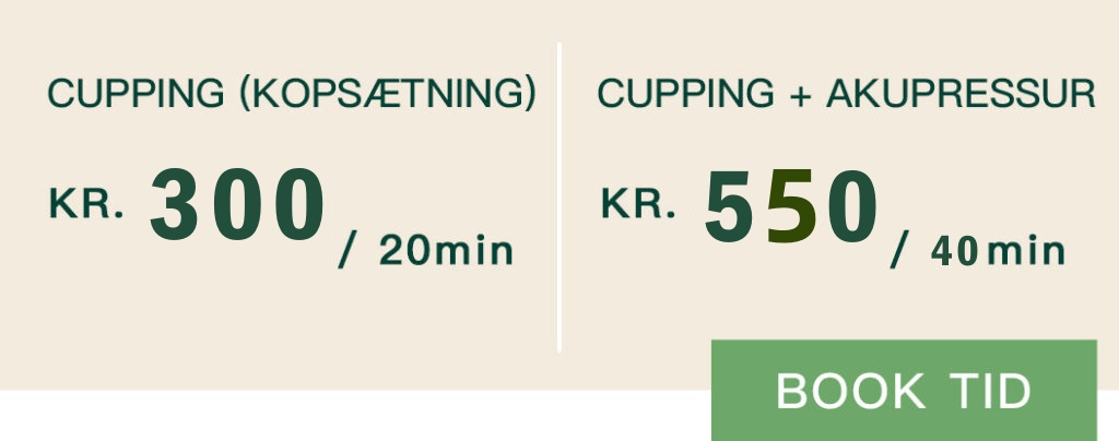 Akupunktur Specialist for Kroniske Lidelser i Odense