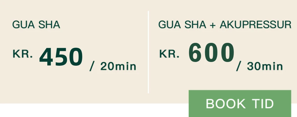 Akupunktur | Vig Fysioterapi og Osteopati